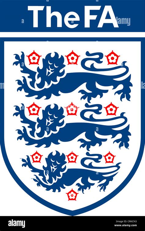 Englischer fussballverband